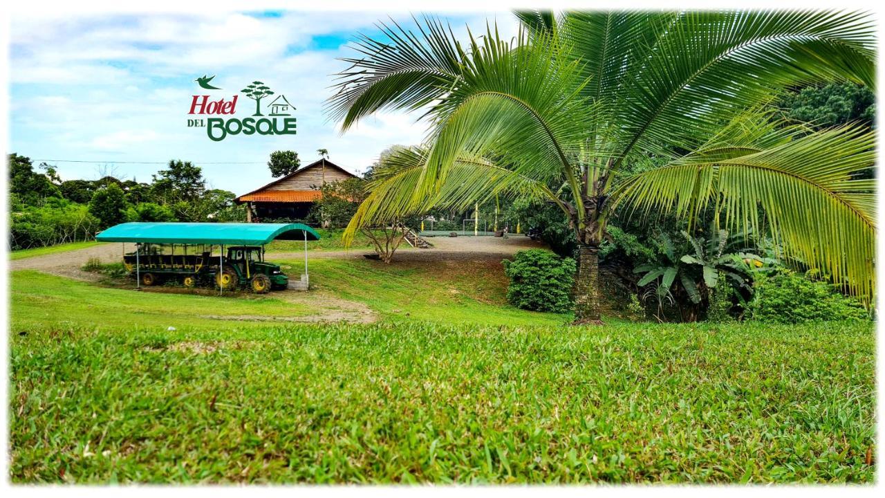Hotel Del Bosque Río Cuarto 외부 사진