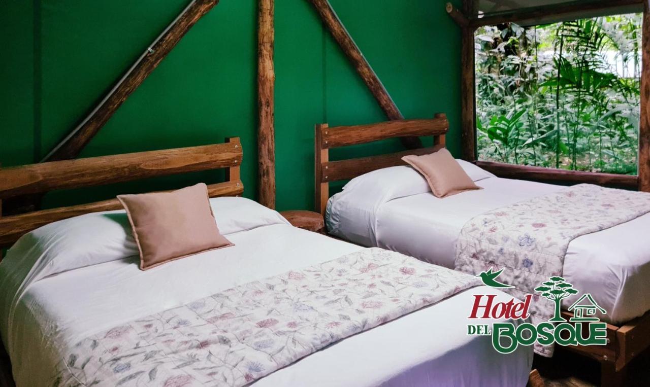 Hotel Del Bosque Río Cuarto 외부 사진