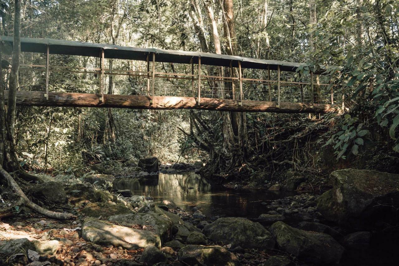 Hotel Del Bosque Río Cuarto 외부 사진